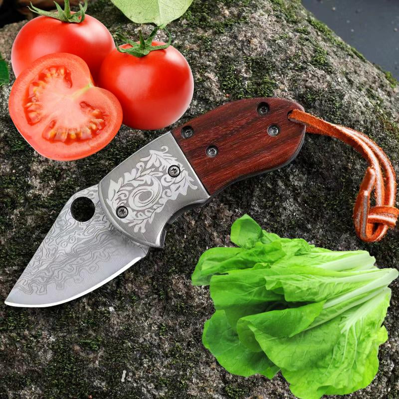 Two-Piece Multifunctional Boutique Kitchen Knife Set Father'S Day Gift Cutting Steel Stainless