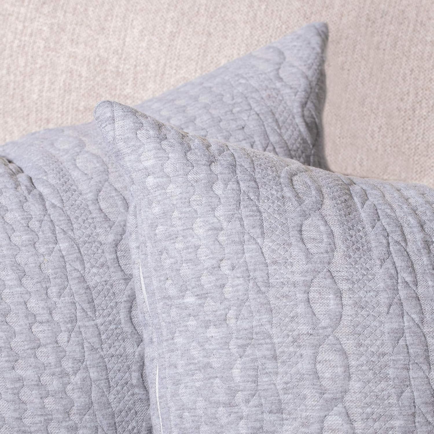 Pack of 2 Super Soft Decorative Throw Pillow Covers Square Cushion Cases Pillowcases for Couch Sofa Bedroom Car Modern Embossed Patterned,20 X 20 Inch,Light Grey